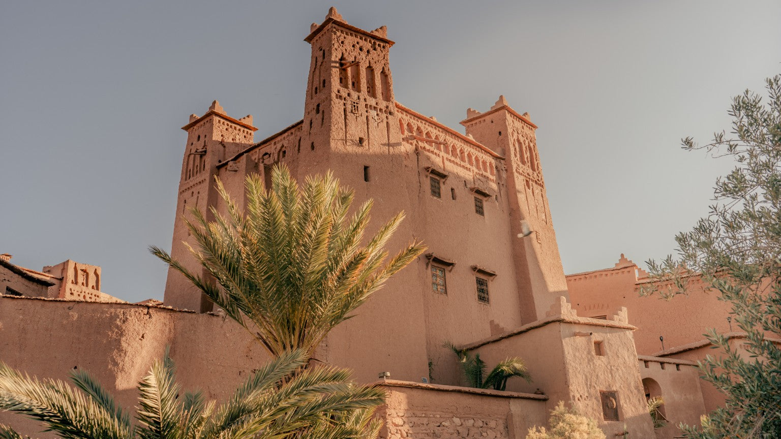 Warmly lit Moroccan kasbah with palm tree