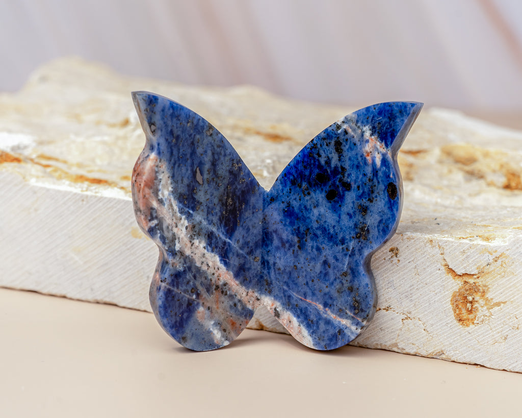 Sodalite Butterfly Carving