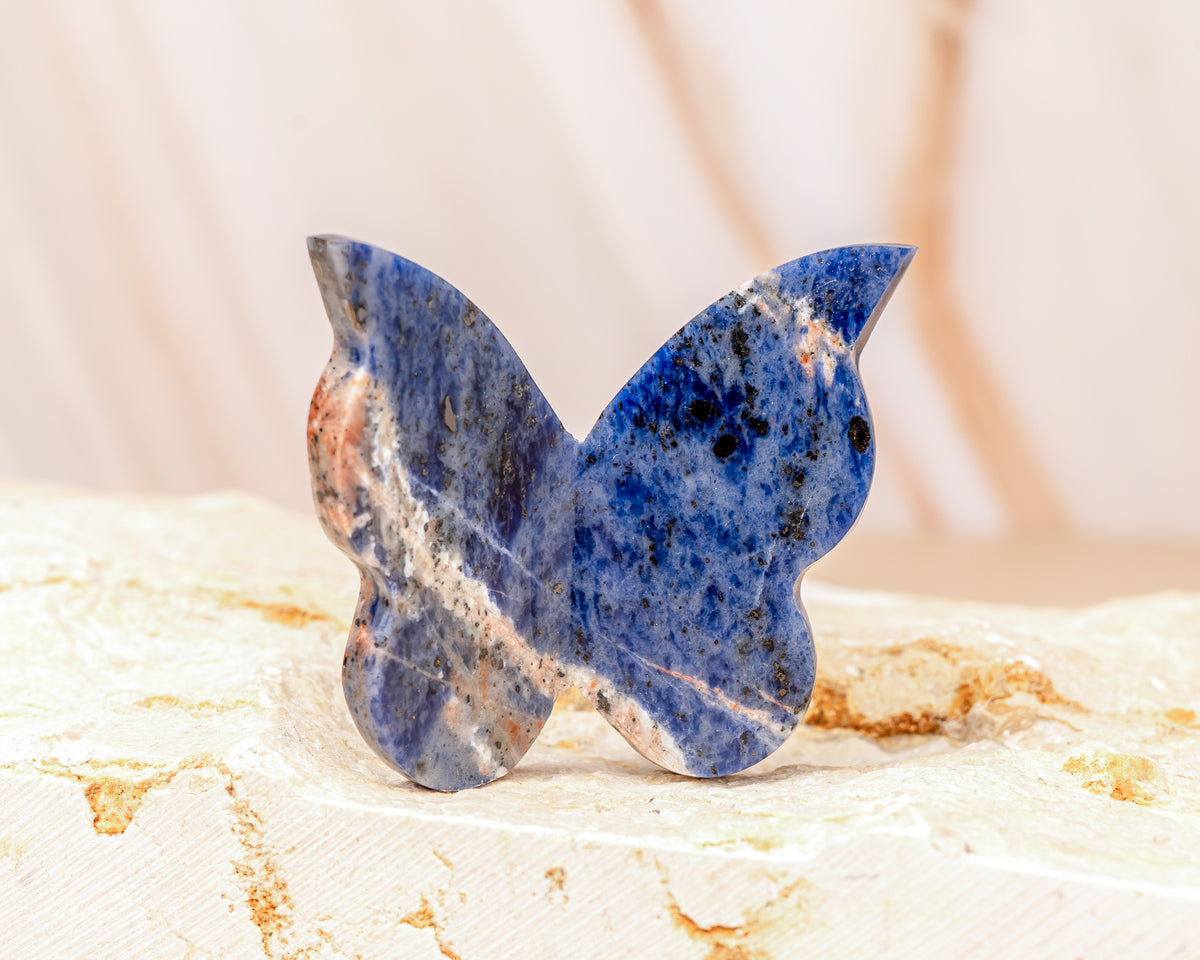 Sodalite Butterfly Carving