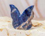 Sodalite Butterfly Carving