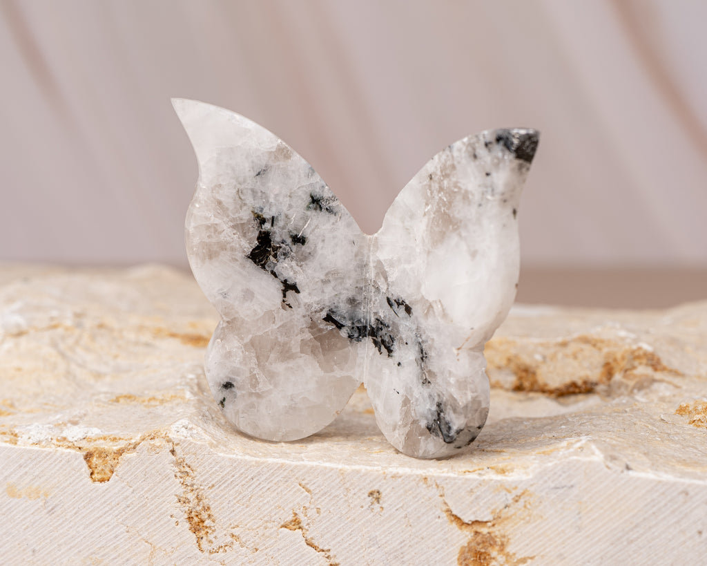 Rainbow Moonstone Butterfly Carving