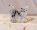 Rainbow Moonstone Butterfly Carving