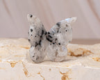 Rainbow Moonstone Butterfly Carving