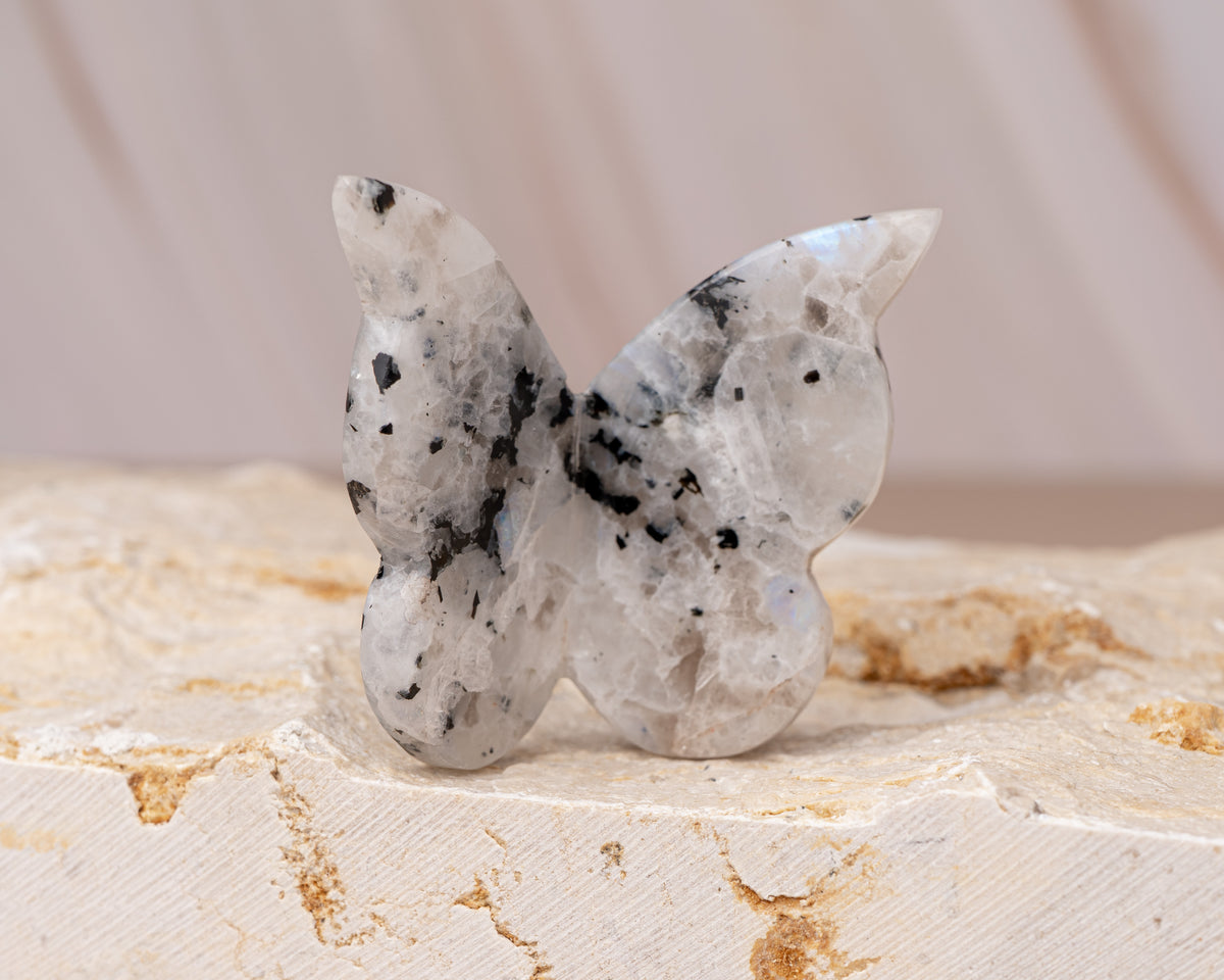 Rainbow Moonstone Butterfly Carving