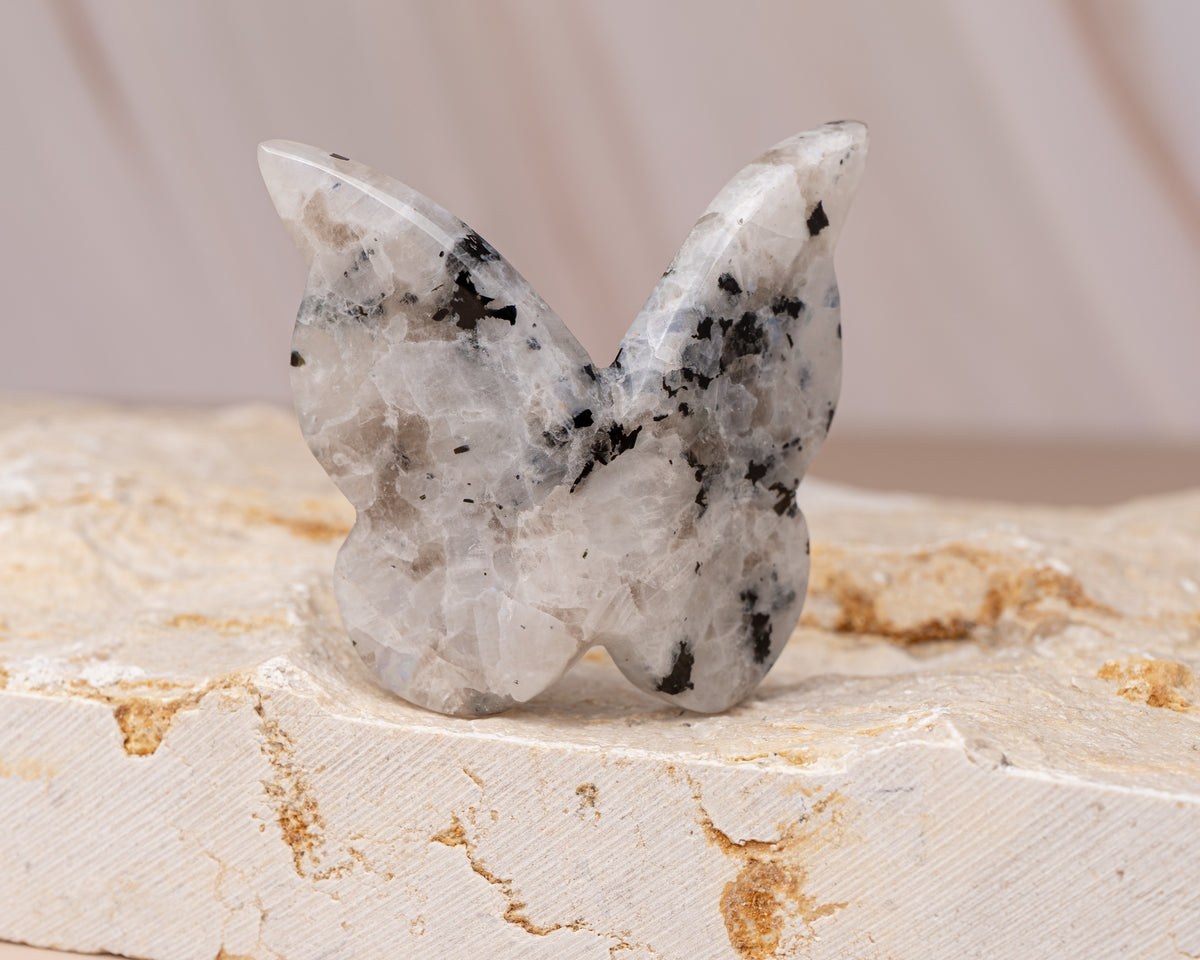 Rainbow Moonstone Butterfly Carving