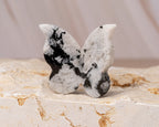 Rainbow Moonstone Butterfly Carving