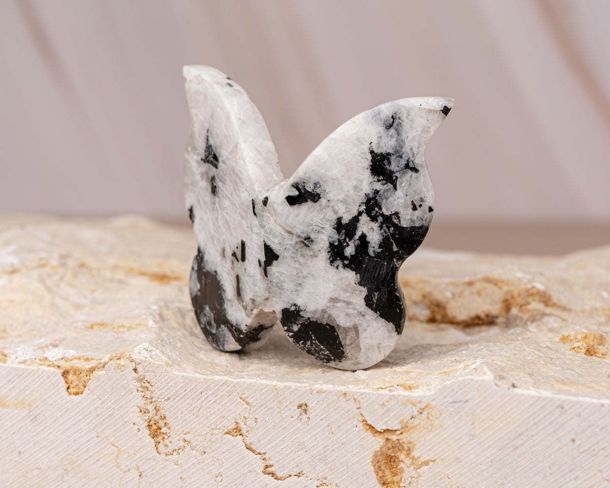 Rainbow Moonstone Butterfly Carving