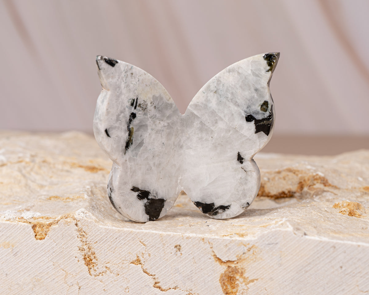 Rainbow Moonstone Butterfly Carving