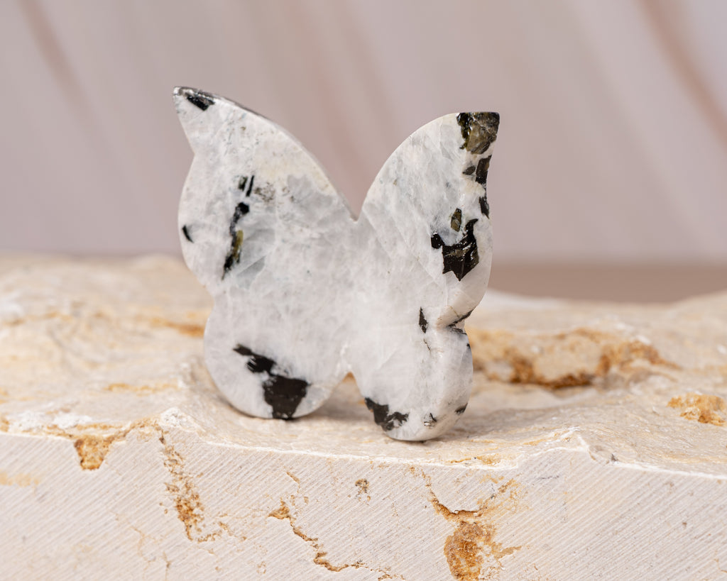 Rainbow Moonstone Butterfly Carving