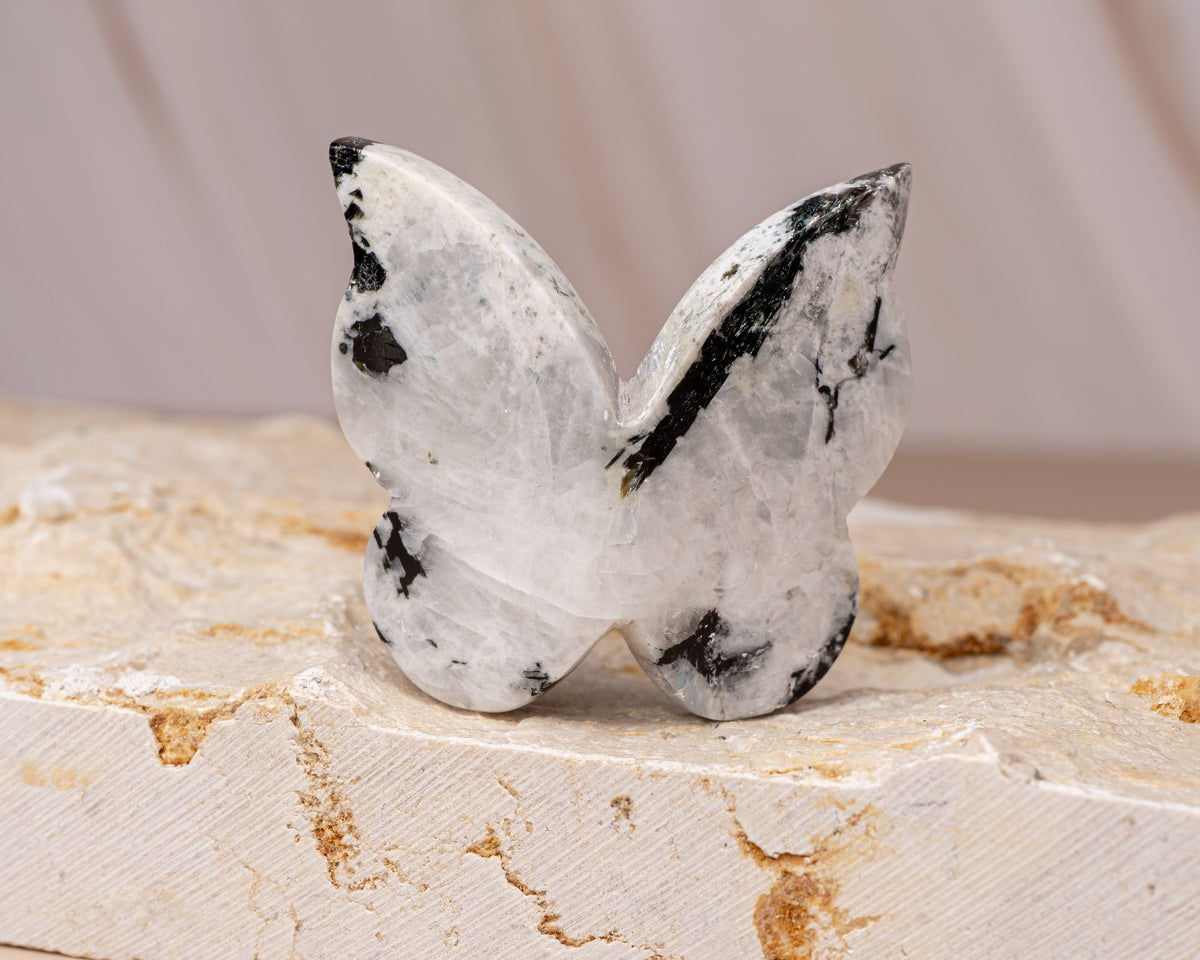 Rainbow Moonstone Butterfly Carving