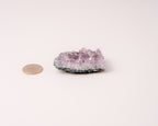Amethyst Cluster