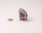 Amethyst Cluster
