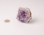 Amethyst Cluster