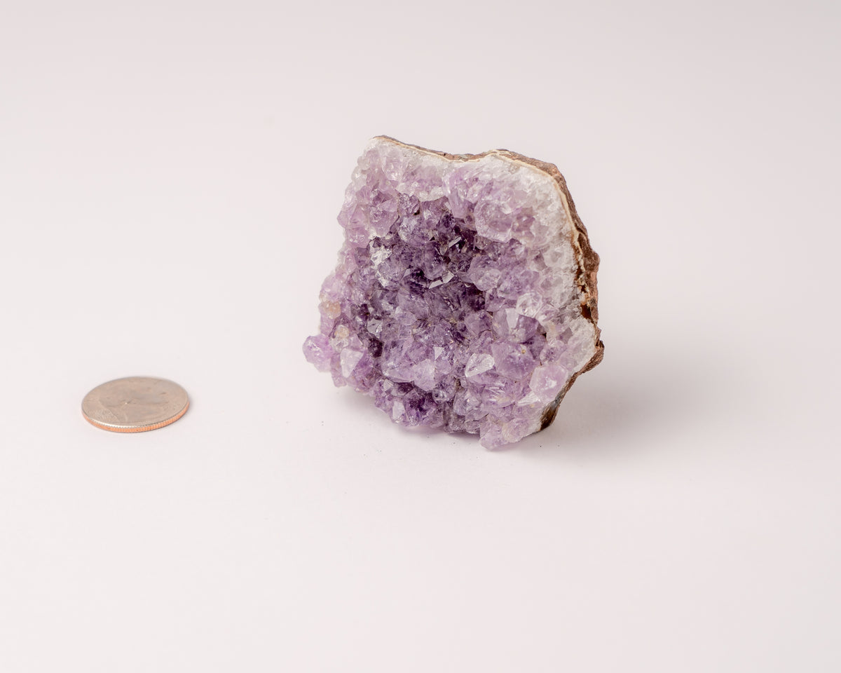 Amethyst Cluster