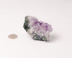 Amethyst Cluster