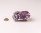 Amethyst Cluster