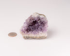 Amethyst Cluster