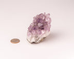 Amethyst Cluster