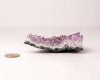 Amethyst Cluster