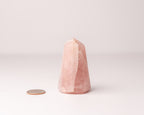 Rose Quartz Tower
