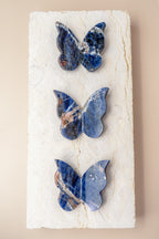 Sodalite Butterfly Carving