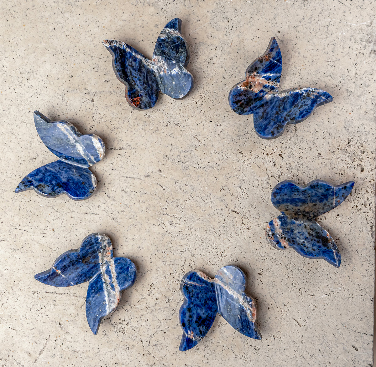 Sodalite Butterfly Carving