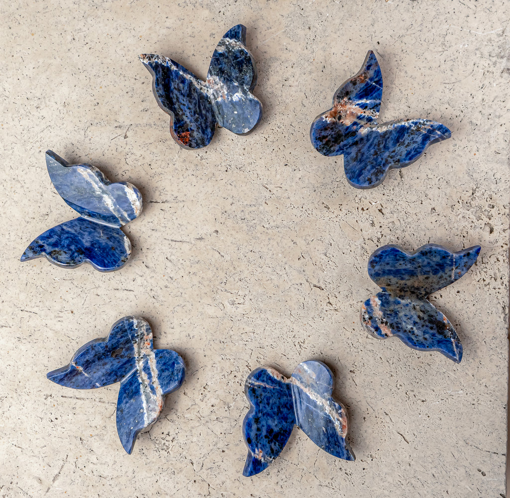 Sodalite Butterfly Carving