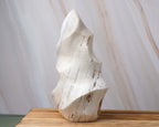 Madagascar Polychrome Jasper "Snow"