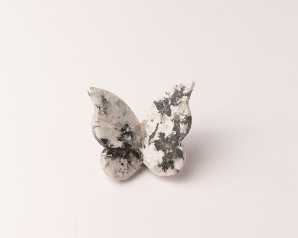 Rainbow Moonstone Butterfly Carving