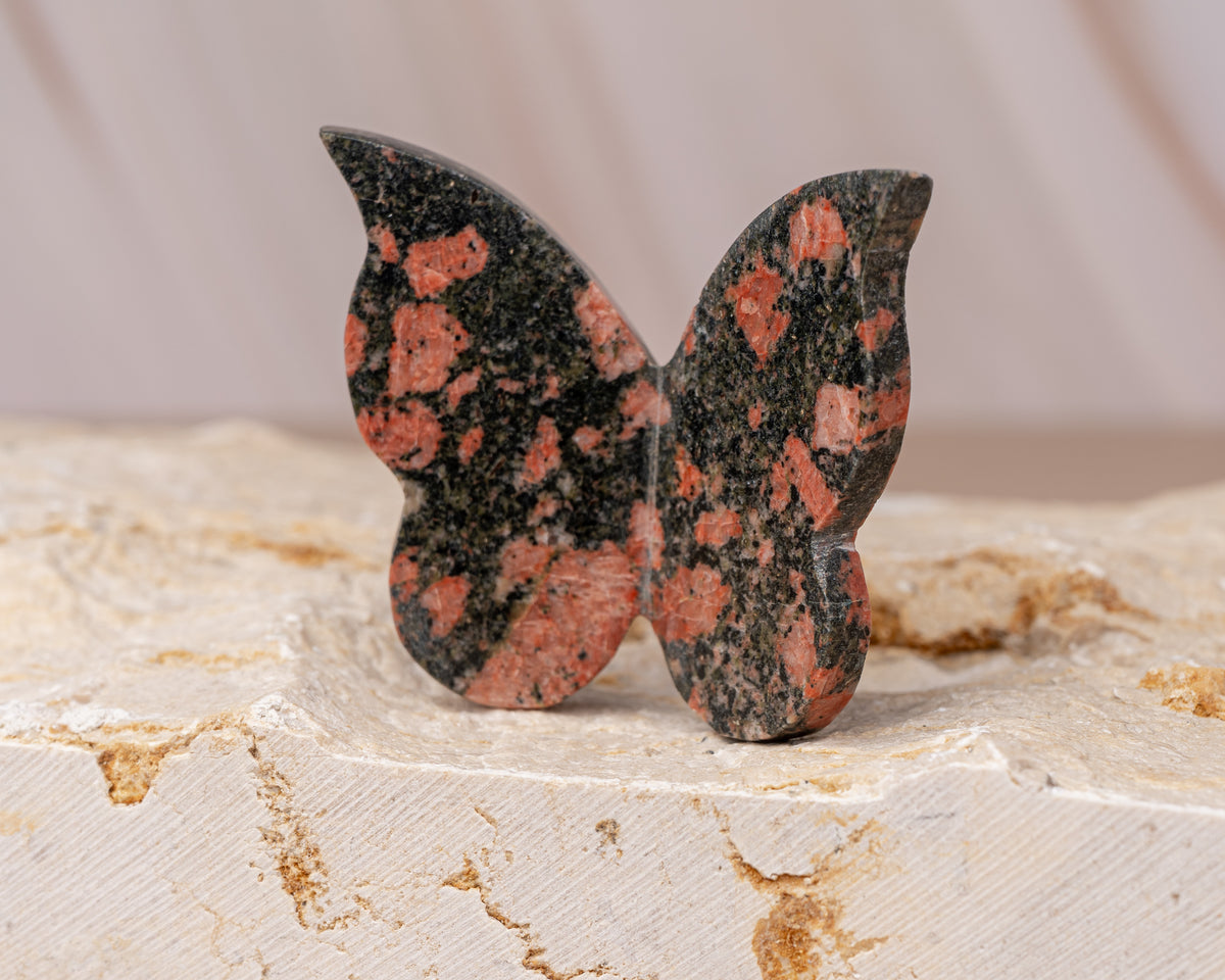 Unakite Butterfly Carving
