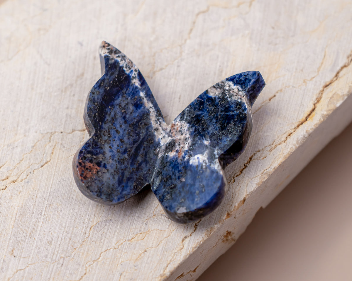 Sodalite Butterfly Carving