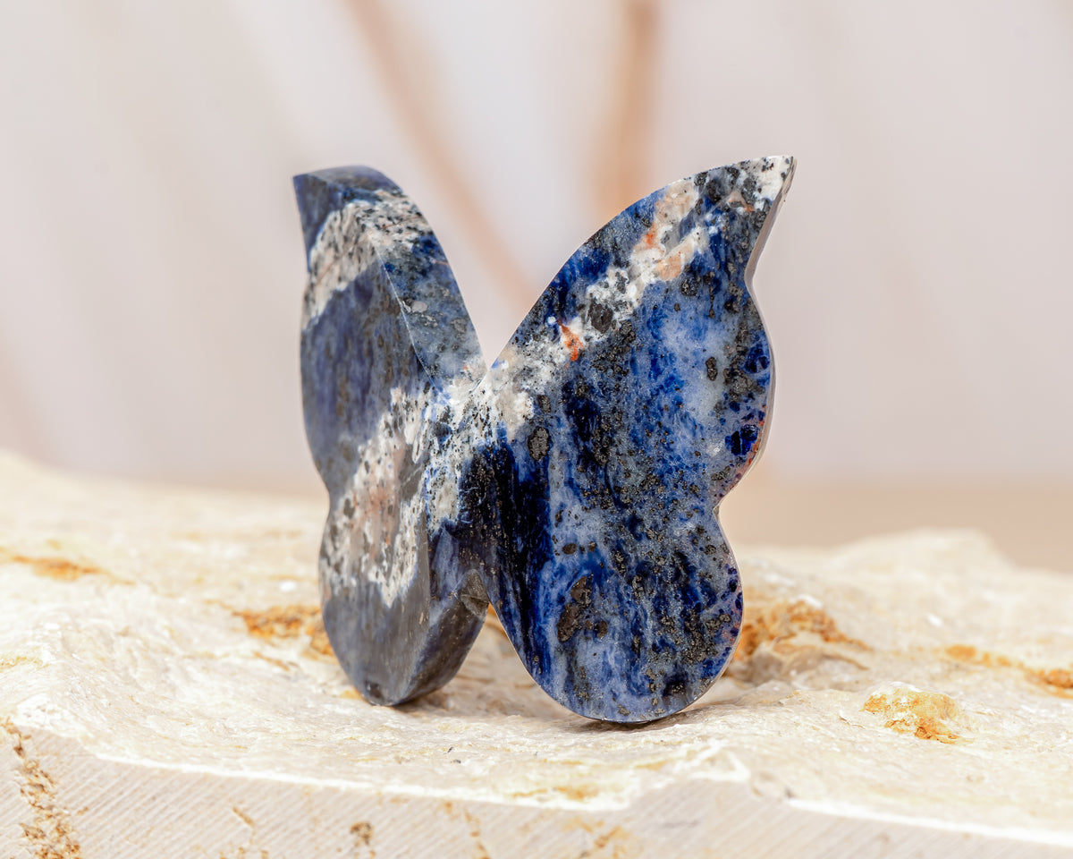 Sodalite Butterfly Carving
