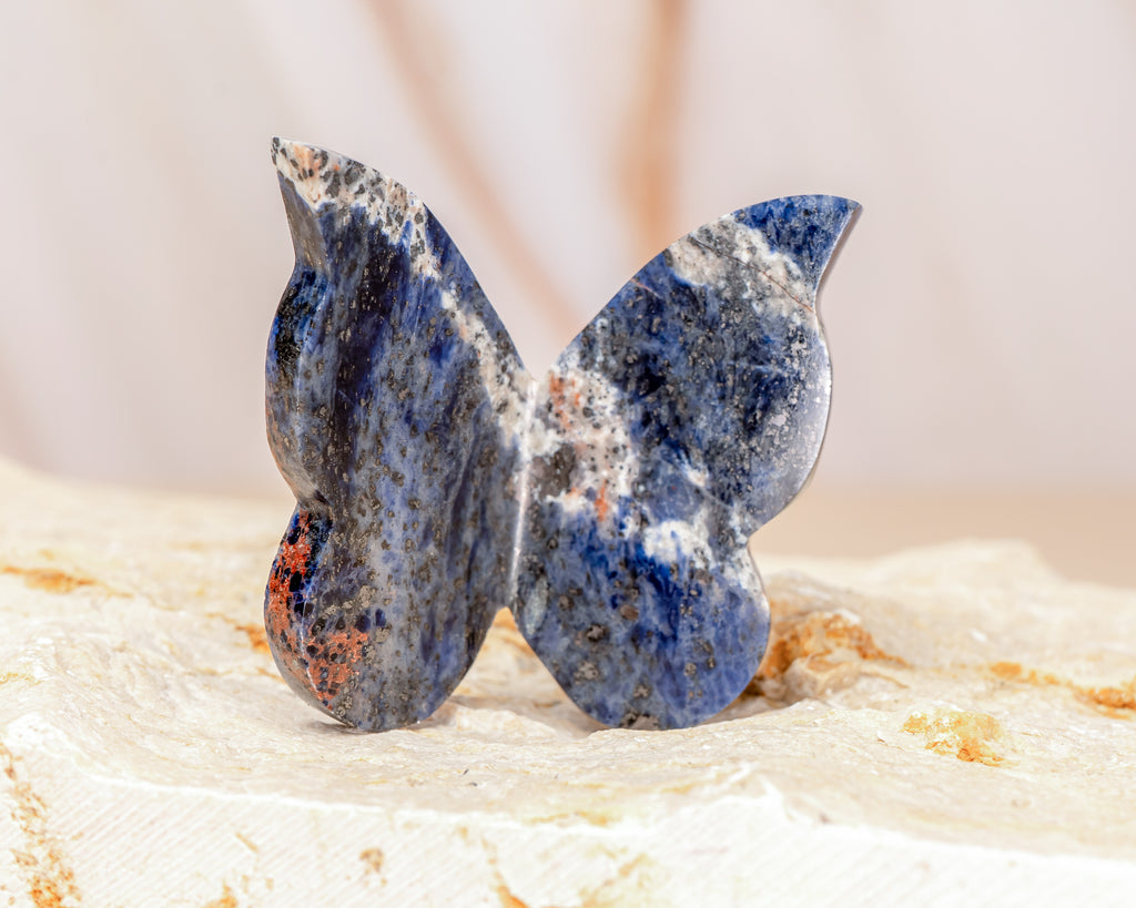 Sodalite Butterfly Carving