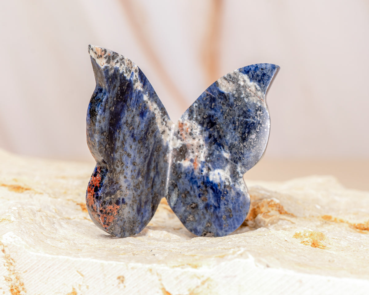 Sodalite Butterfly Carving