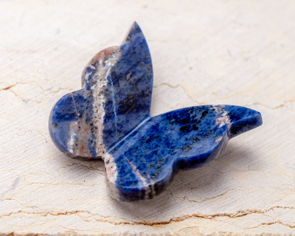 Sodalite Butterfly Carving