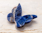 Sodalite Butterfly Carving