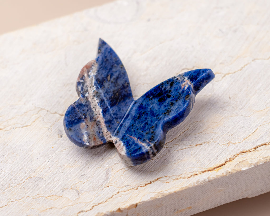 Sodalite Butterfly Carving