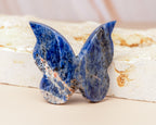Sodalite Butterfly Carving