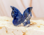 Sodalite Butterfly Carving
