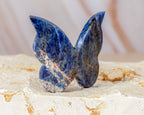 Sodalite Butterfly Carving