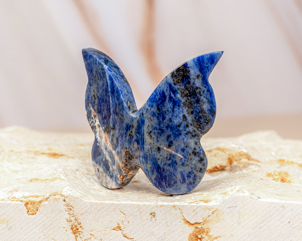Sodalite Butterfly Carving