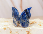Sodalite Butterfly Carving