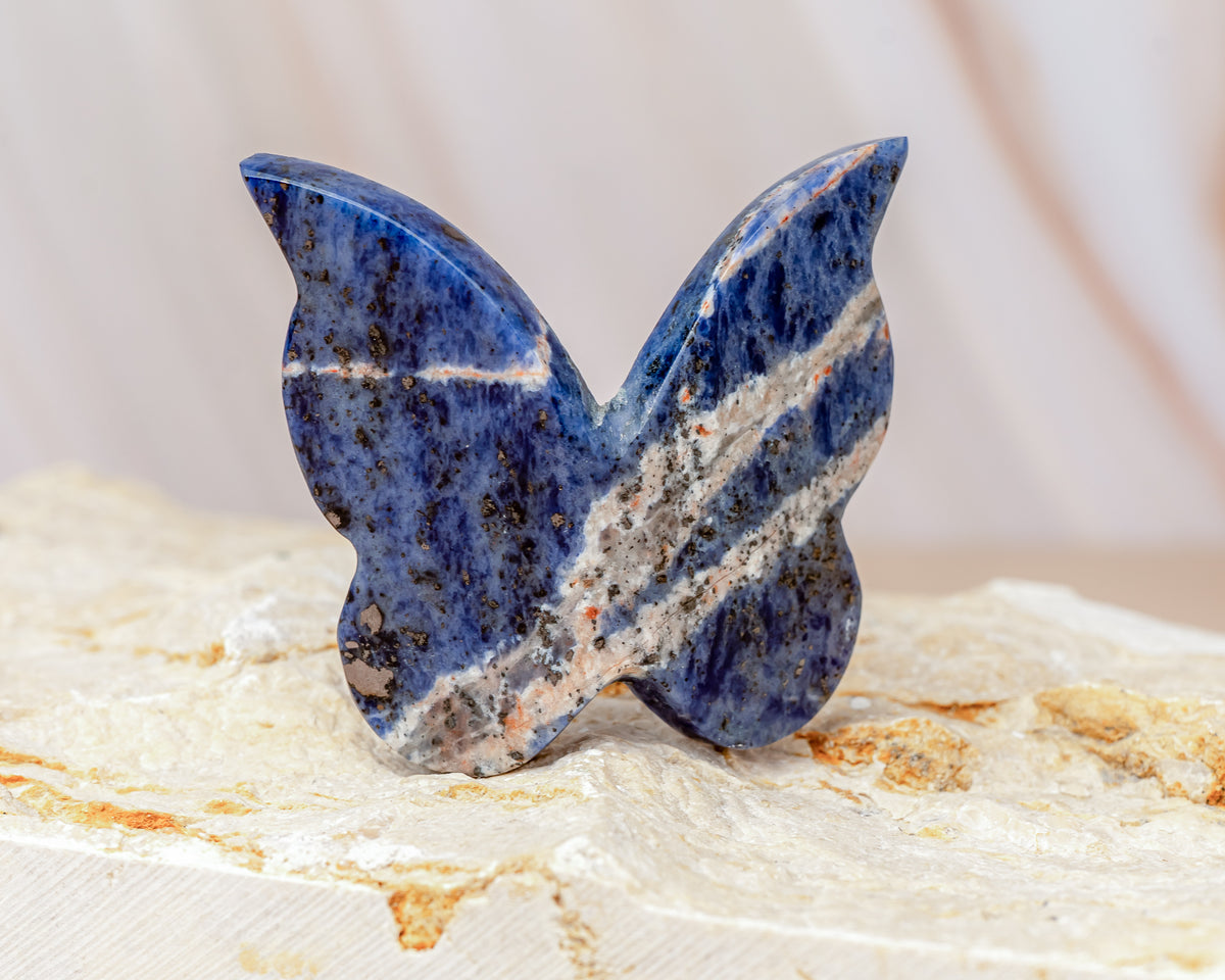 Sodalite Butterfly Carving