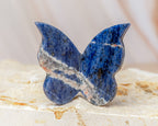 Sodalite Butterfly Carving
