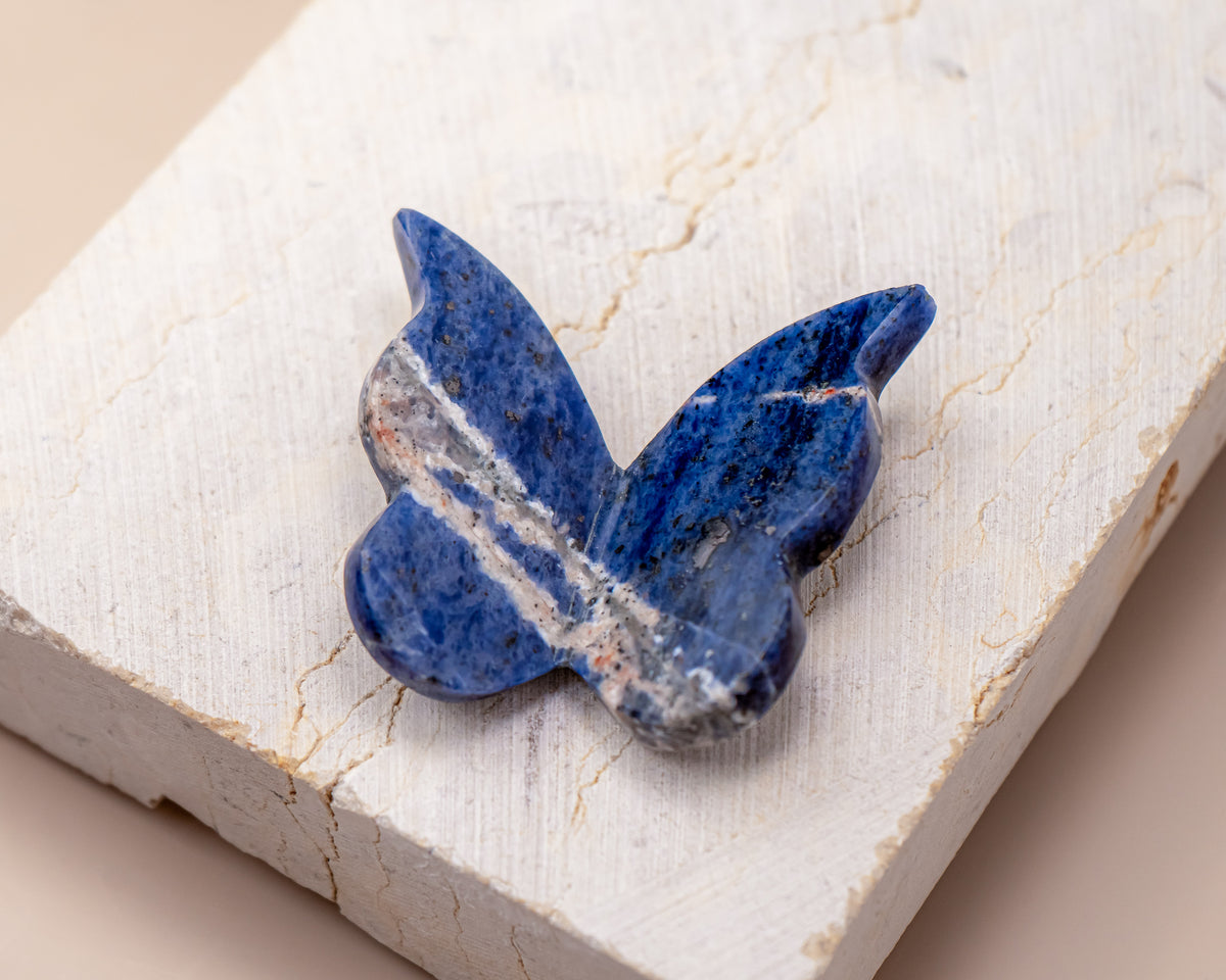 Sodalite Butterfly Carving
