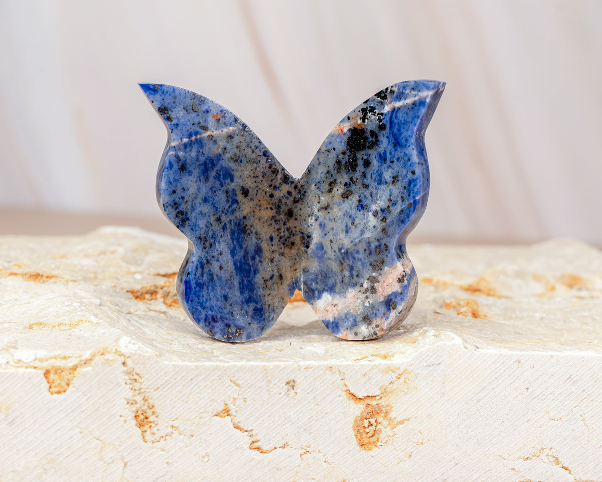 Sodalite Butterfly Carving