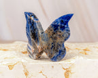 Sodalite Butterfly Carving
