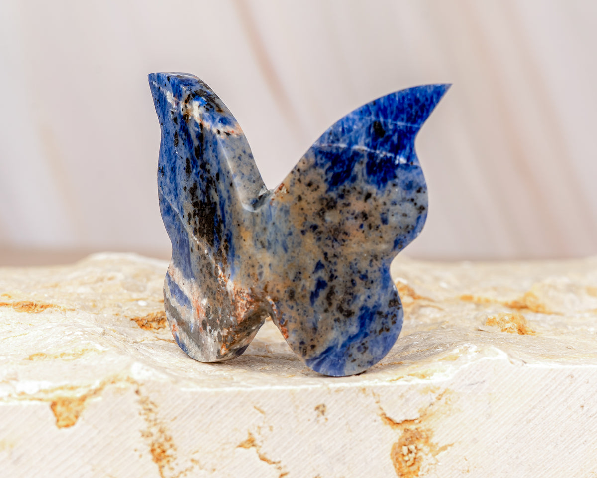 Sodalite Butterfly Carving
