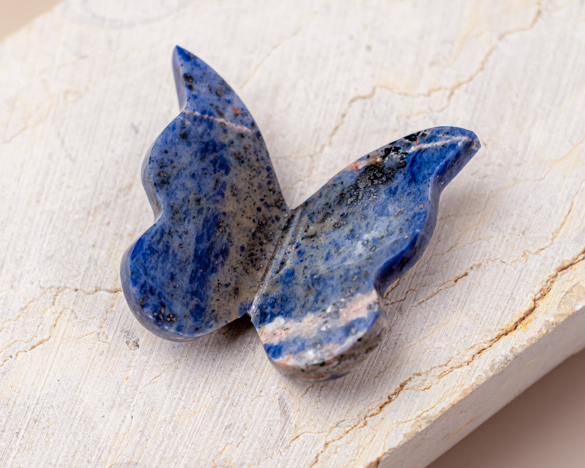 Sodalite Butterfly Carving