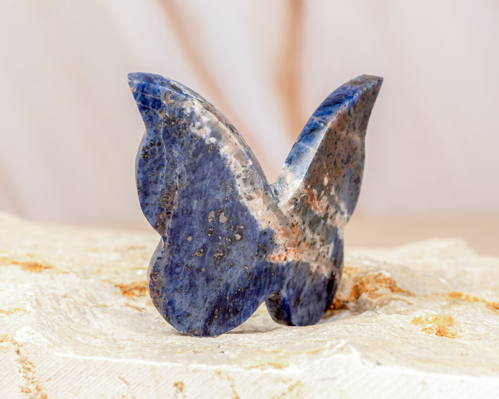 Sodalite Butterfly Carving